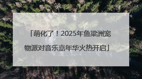 萌化了！2025年鱼梁洲宠物派对音乐嘉年华火热开启